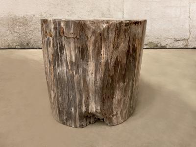 FOSSILIZED WOODEN COFFEE TABLE CROWN