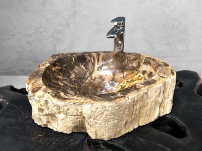 VASQUE DE BAIN EN BOIS FOSSILISE BANUS