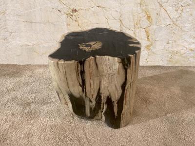 FOSSIL WOOD STOOL WITH POLISHED FINISH LUX