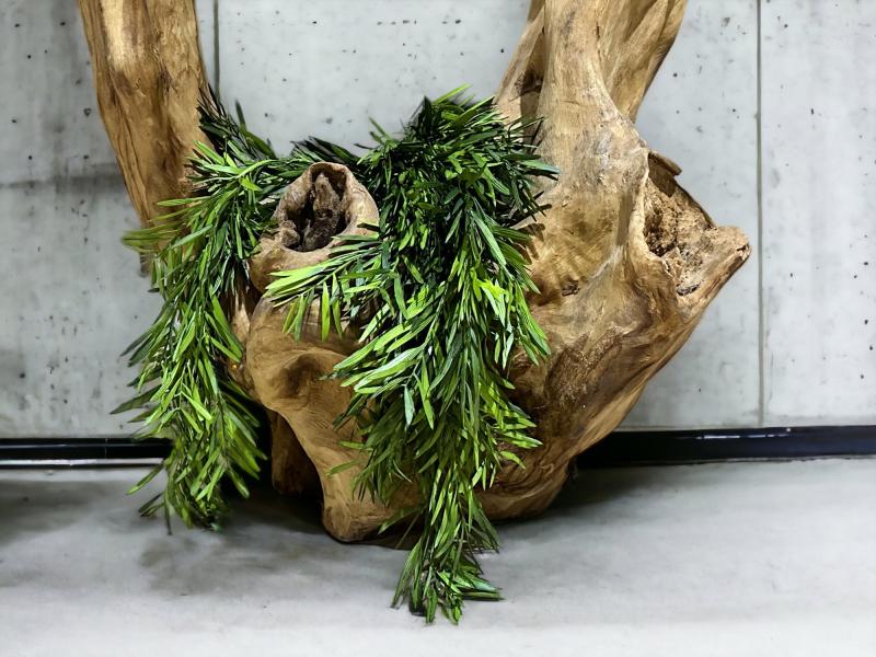 Teak wood sculpture Anouk