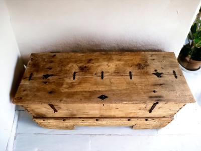 WOOD TRUNK MONTECARLO