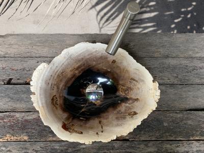 EXCLUSIVE PETRIFIED WOOD SINK MARK