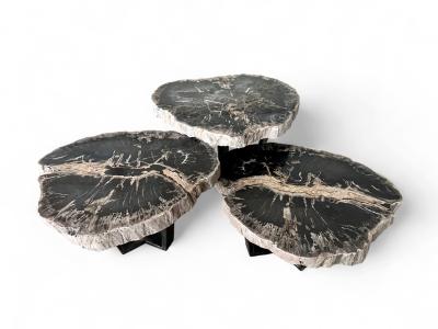 ACHETER SET DI TAVOLINI DA CAFFE IN LEGNO PIETRIFICATO TESS