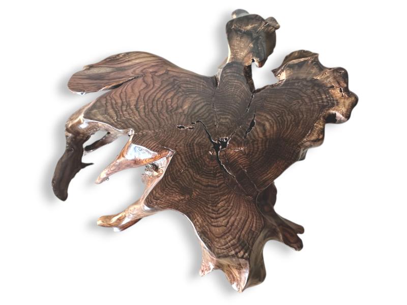ROOT COFFEE TABLE TAMARIU