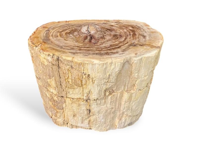 MESA AUXILIAR DE MADERA PETRIFICADA NETTUNO