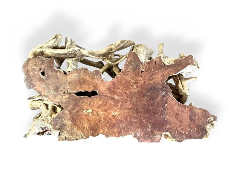 COUCHTISCH AUS TROPISCHEM HOLZ SANDRINNE