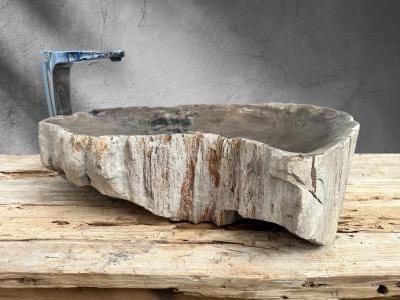FOSSILIZED WOODEN SINK MOZART