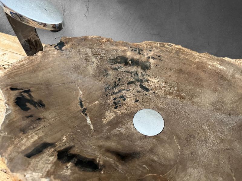 BUY FOSSILIZED WOODEN SINK MOZART