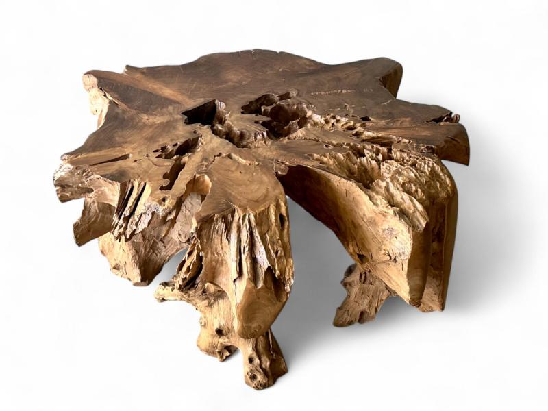 TABLE DE RACINE TROPICALE EN TECK - NONZA