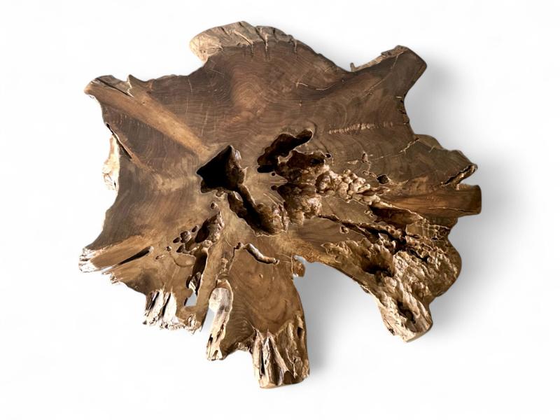 TABLE BASSE TROPICAL ROOT - NONZA