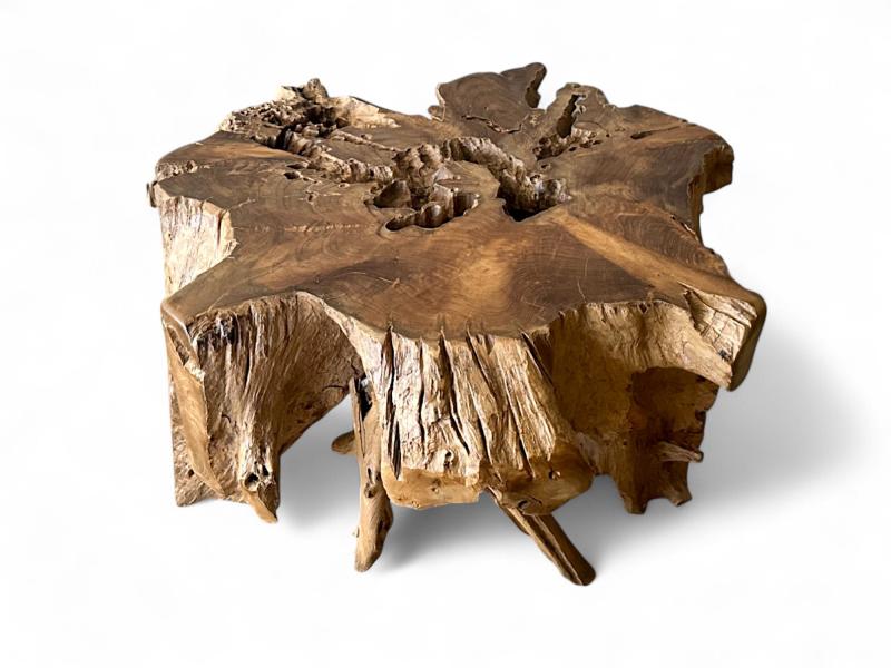 TABLE BASSE TROPICALE