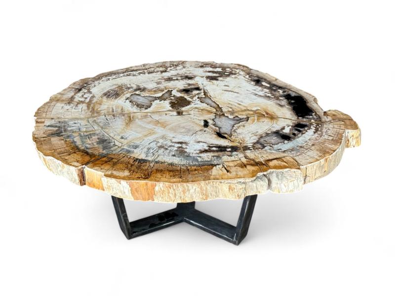 ACQUISTARE TAVOLINO IN TRONCO D'ALBERO PIETRIFICATO MOOREA