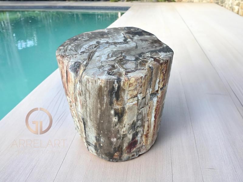 MESITA DE MADERA FOSILIZADA HANOI MESITA DE MADERA FOSILIZADA HANOI