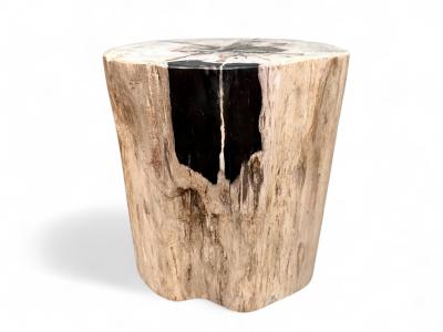 ACQUISTARE TAVOLINO IN LEGNO FOSSILE BLACK