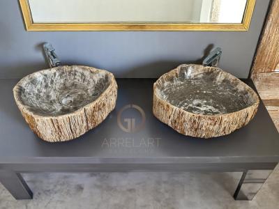 TWO PETRIFIED WOOD TWIN SINKS MARKUS