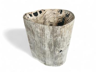 LAVABO SUR PIED EN BOIS PETRIFIE OLBIA