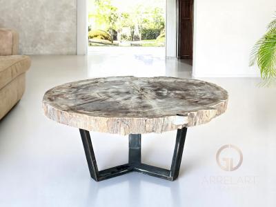 MESA DE CENTRO EXCLUSIVA DE MADERA PETRIFICADA PONZA