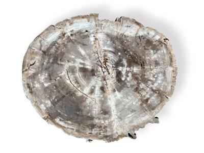 ESCLUSIVO TAVOLINO IN LEGNO PIETRIFICATO - PONZA