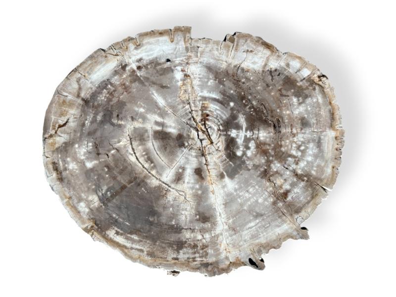 ESCLUSIVO TAVOLINO IN LEGNO PIETRIFICATO - PONZA