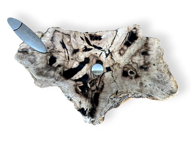 LAVABO DA APPOGGIO IN LEGNO FOSSILE SASHA