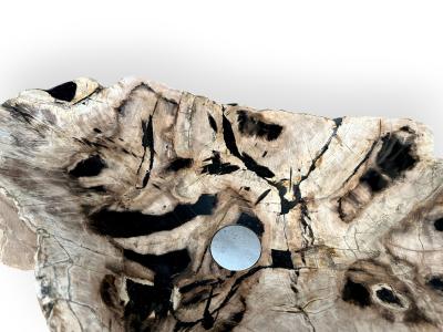 COMPRARE LAVABO DA APPOGGIO IN LEGNO FOSSILE SASHA