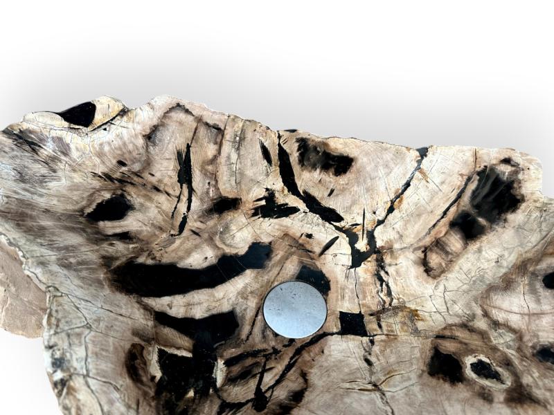 COMPRARE LAVABO DA APPOGGIO IN LEGNO FOSSILE SASHA