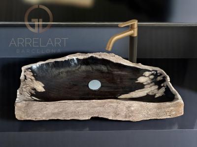 FOSSILIZED WOODEN WASHBASIN TOULOUSE