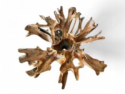 RADICE IN LEGNO NATURALE TAORMINA