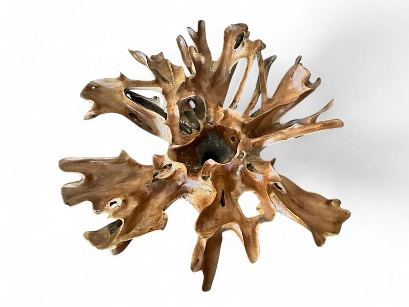 RADICE IN LEGNO NATURALE TAORMINA