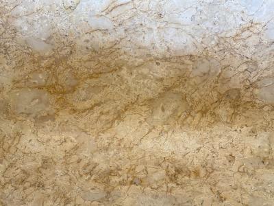 DETAIL BAIGNORE SARDAIGNE