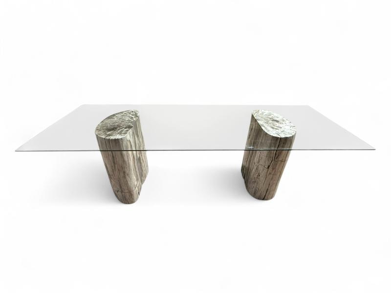 TABLE A MANGER EN BOIS PETRIFIE