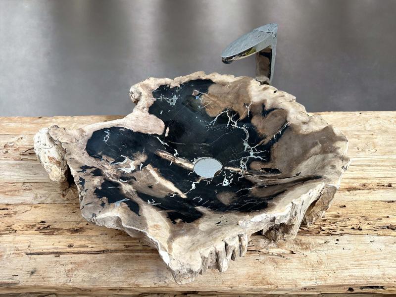 PETRIFIED WOOD WASHBASIN MAUI