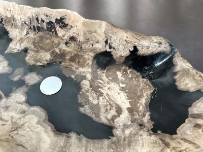 DETAIL OF FOSSILIZED WOODEN SINK LEGIAN