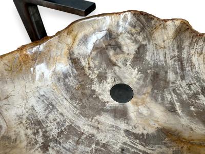 VASQUE EN BOIS PETRIFIE MOON