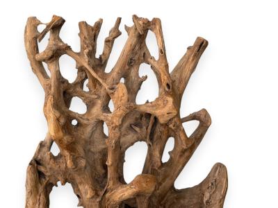 DETAIL OF WOOD SCULPTURE ZEUS