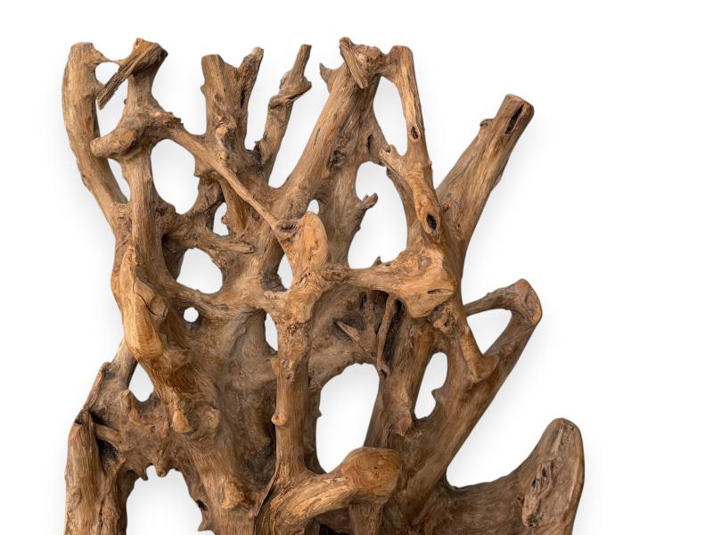 DETAIL OF WOOD SCULPTURE ZEUS