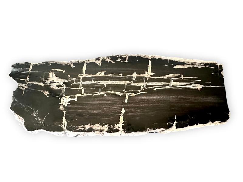 FOSSIL WOOD COFFEE TABLE ARUSHA