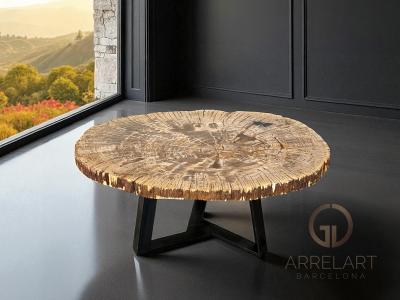 AMBER COFFEE TABLE IN PETRIFIED WOOD