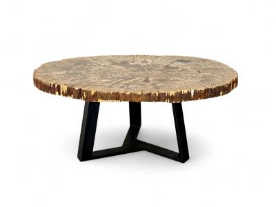 AMBER TABLE IN PETRIFIED WOOD SIRACUSA