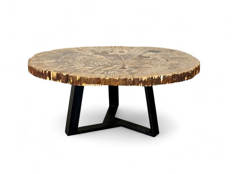 AMBER TABLE IN PETRIFIED WOOD SIRACUSA