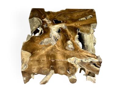 MESA DE CENTRO DE RAIZ DE ARBOL ASHLEY