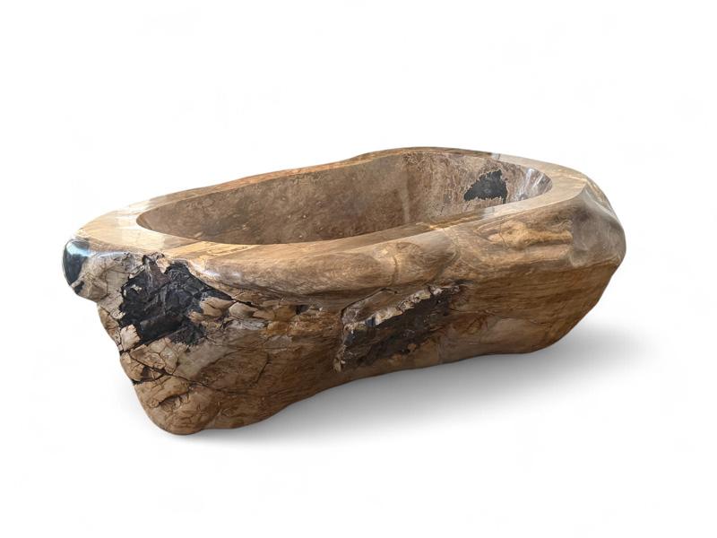VASCA FOSSILE THE TREASURE