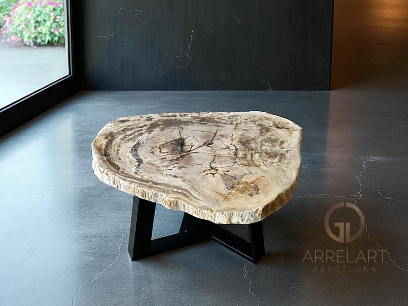 MESA DE CENTRO MADERA PETRIFICADA BELA
