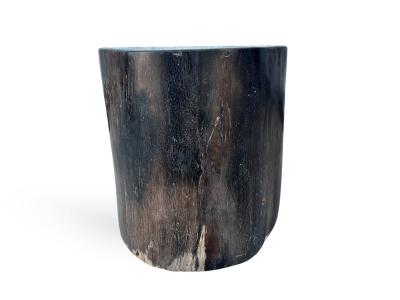 BLACK STOOL IN FOSSIL WOOD