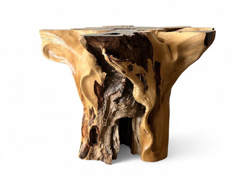 TABLE DE SALLE A MANGER AVEC RACINE EN BOIS TROPICAL