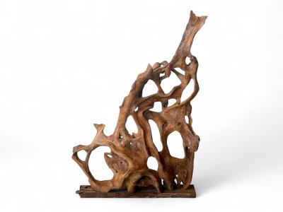 SCULPTURE EN RACINE DE TECK