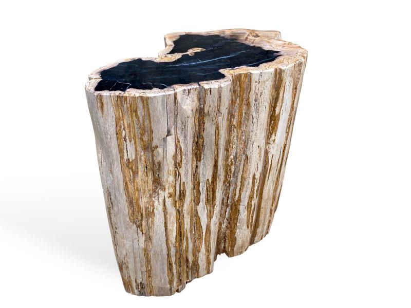 POLISHED PETRIFIED WOOD STOOL LEVANI