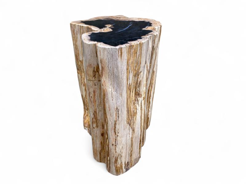 TABOURET EN BOIS PETRIFIE POLI LEVANI