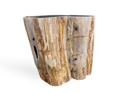BUY PETRIFIED WOOD POLISHED STOOL LEVANI