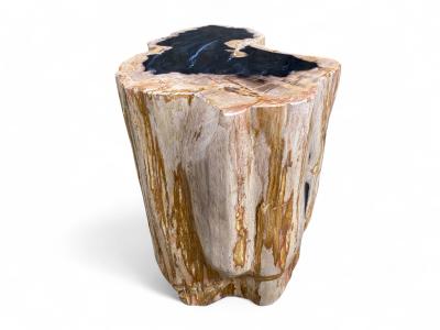 TABOURET EN BOIS PETRIFIE POLI LEVANI